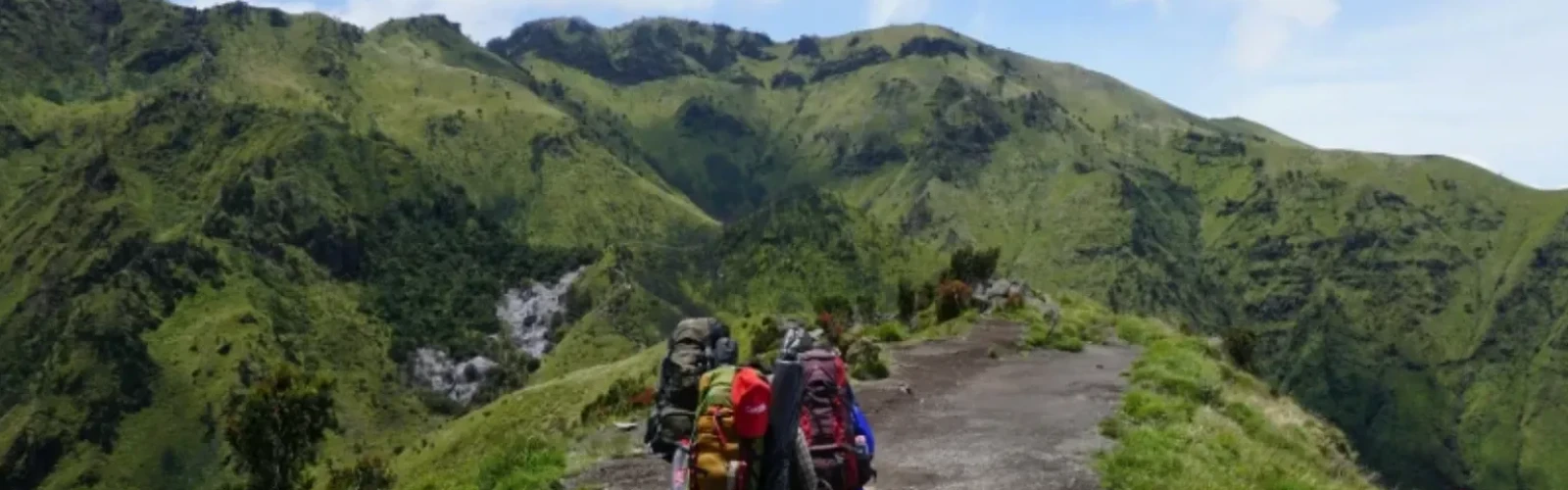 Best Hiking Trails and Scenic Viewpoints in San Francisco