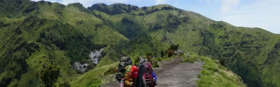 Best Hiking Trails and Scenic Viewpoints in San Francisco