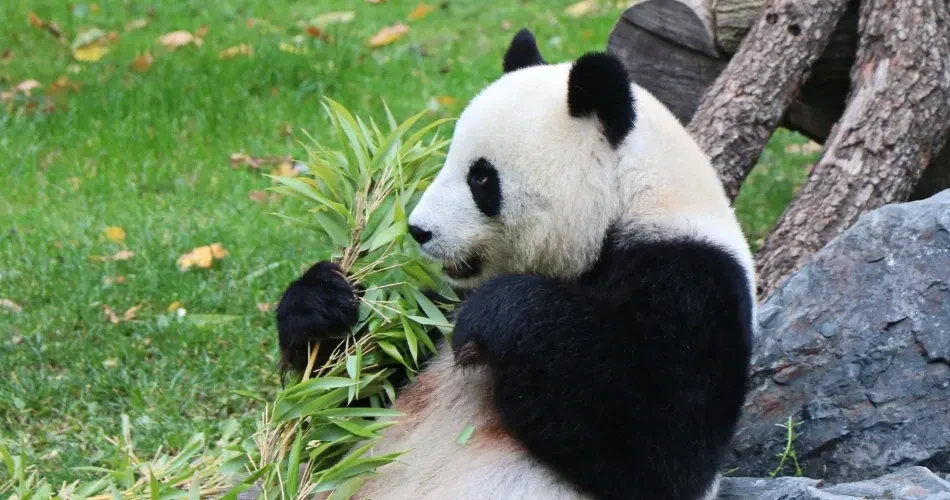 Ultimate Guide to Family Attractions in San Francisco